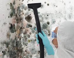 Biohazard Mold Removal in India Hook, SC